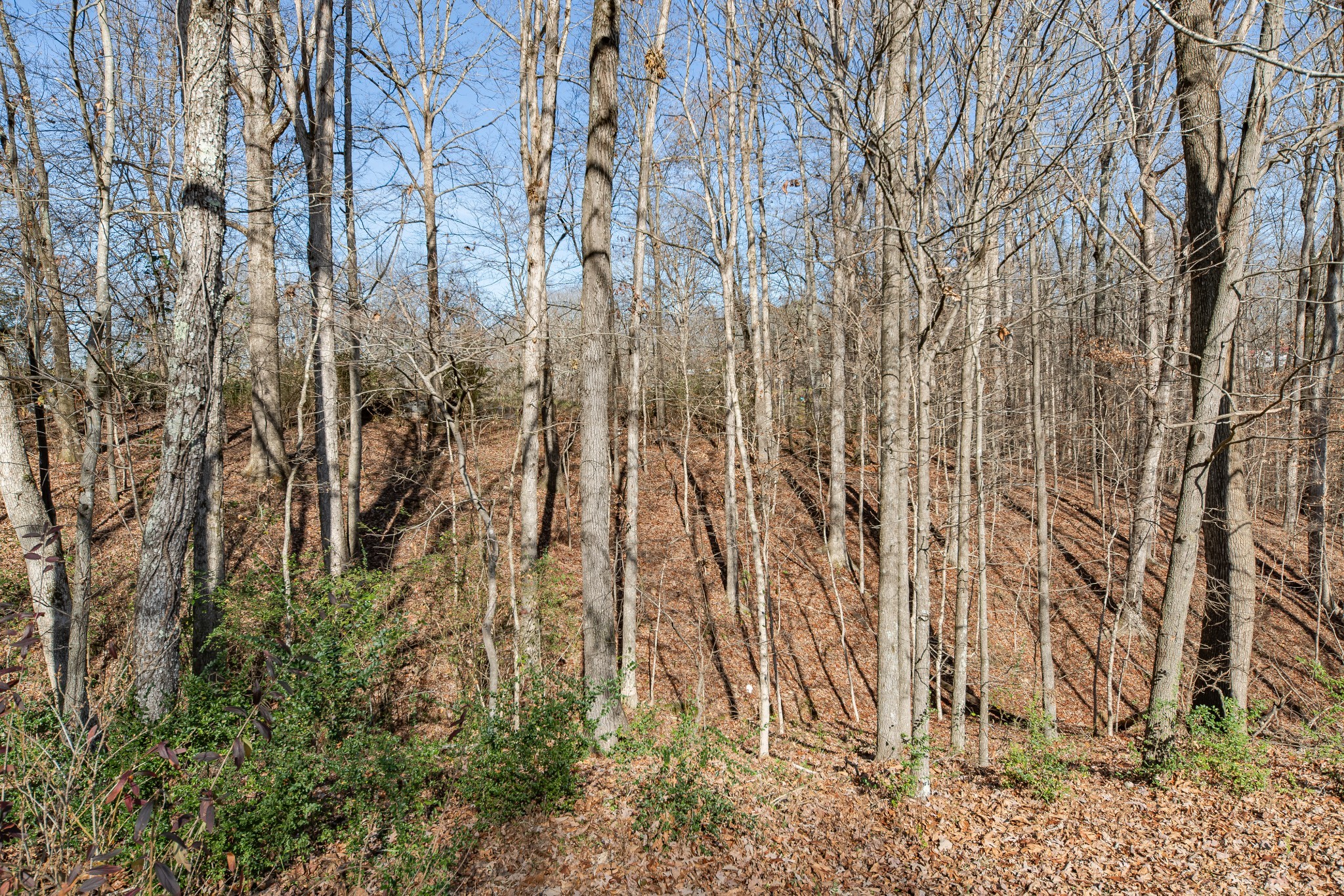 3117 Country Side Drive Centerville TN 37033