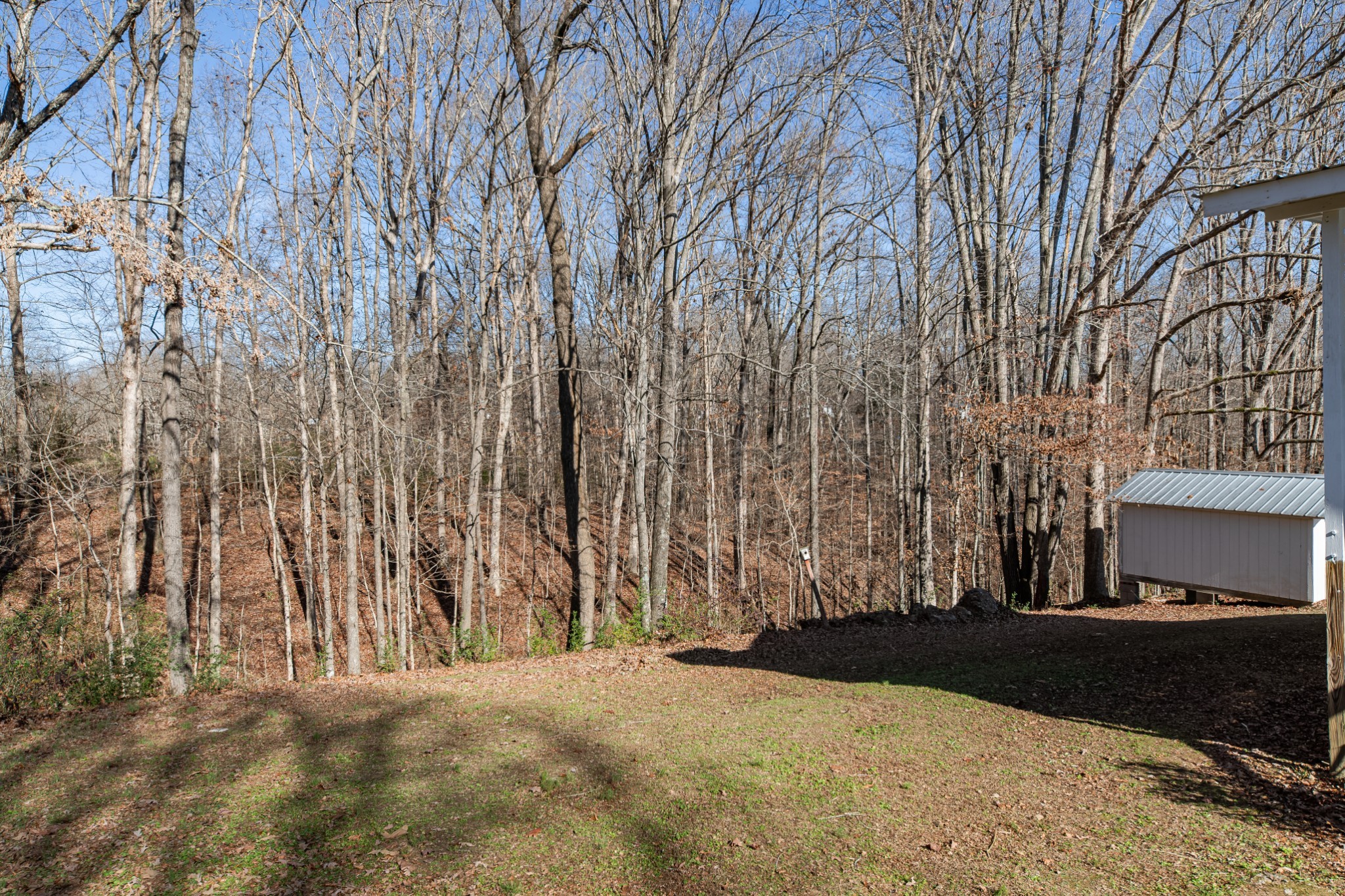 3117 Country Side Drive Centerville TN 37033