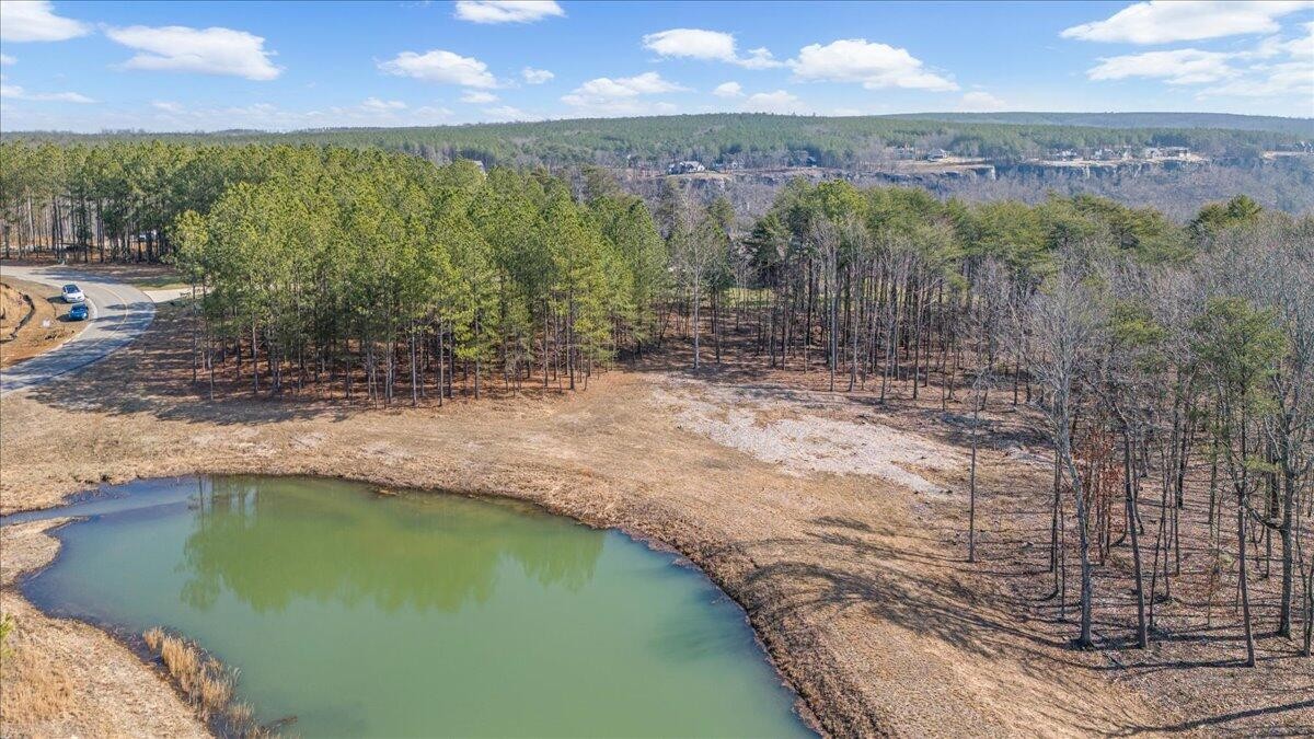 705 Crockett Loop Jasper TN 37347