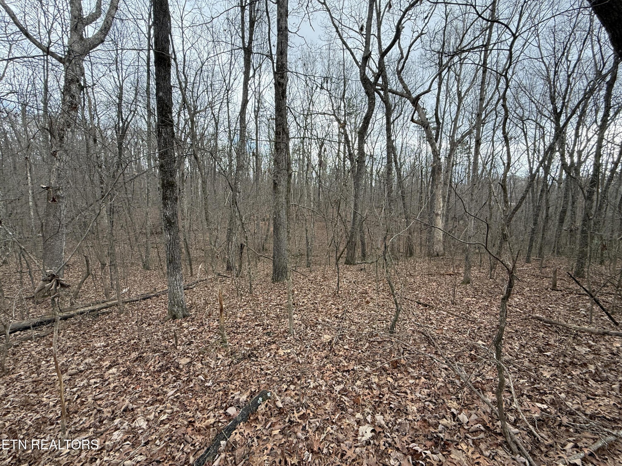 0 Crest Road Monterey TN 38574