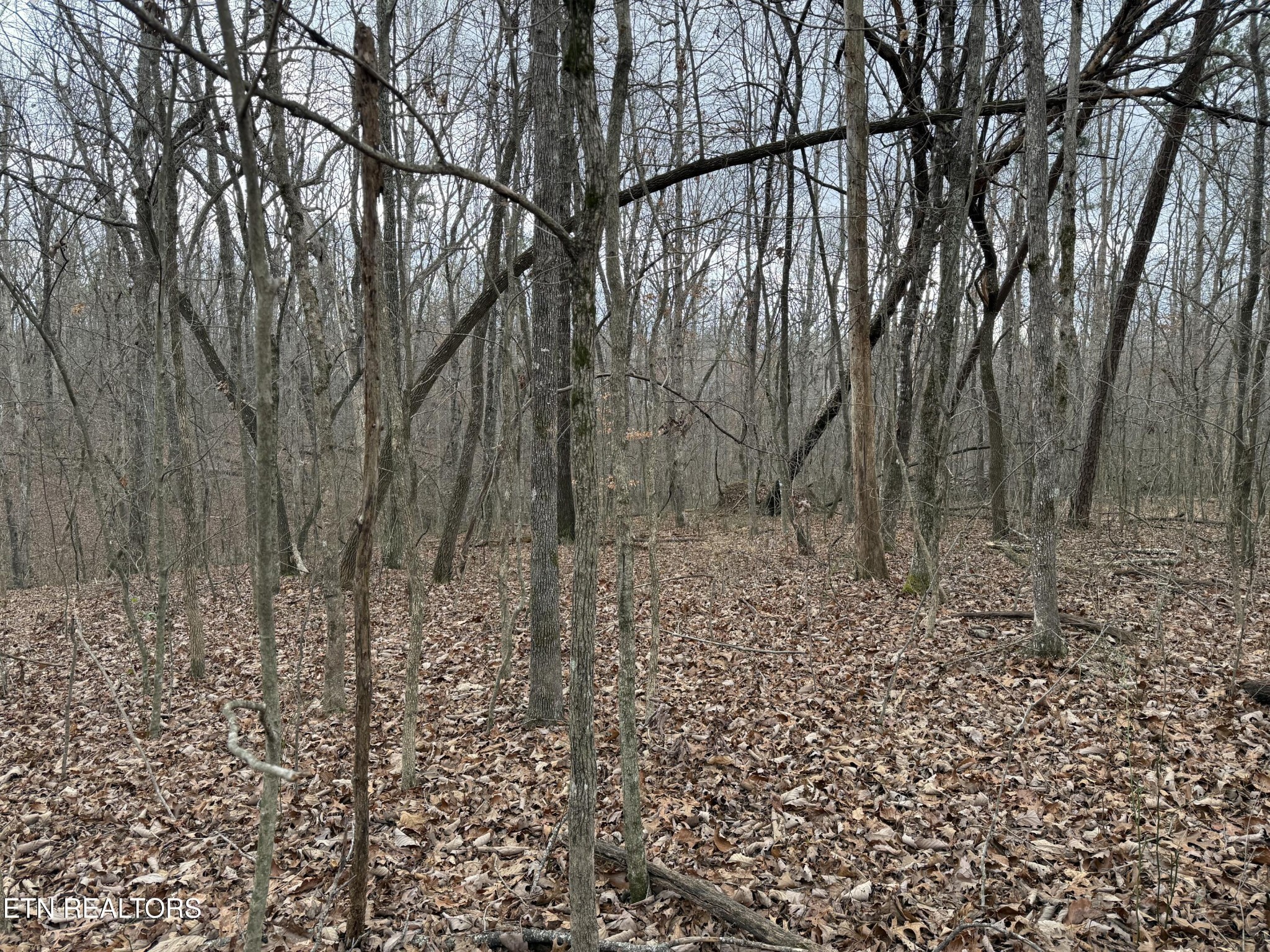 0 Crest Road Monterey TN 38574