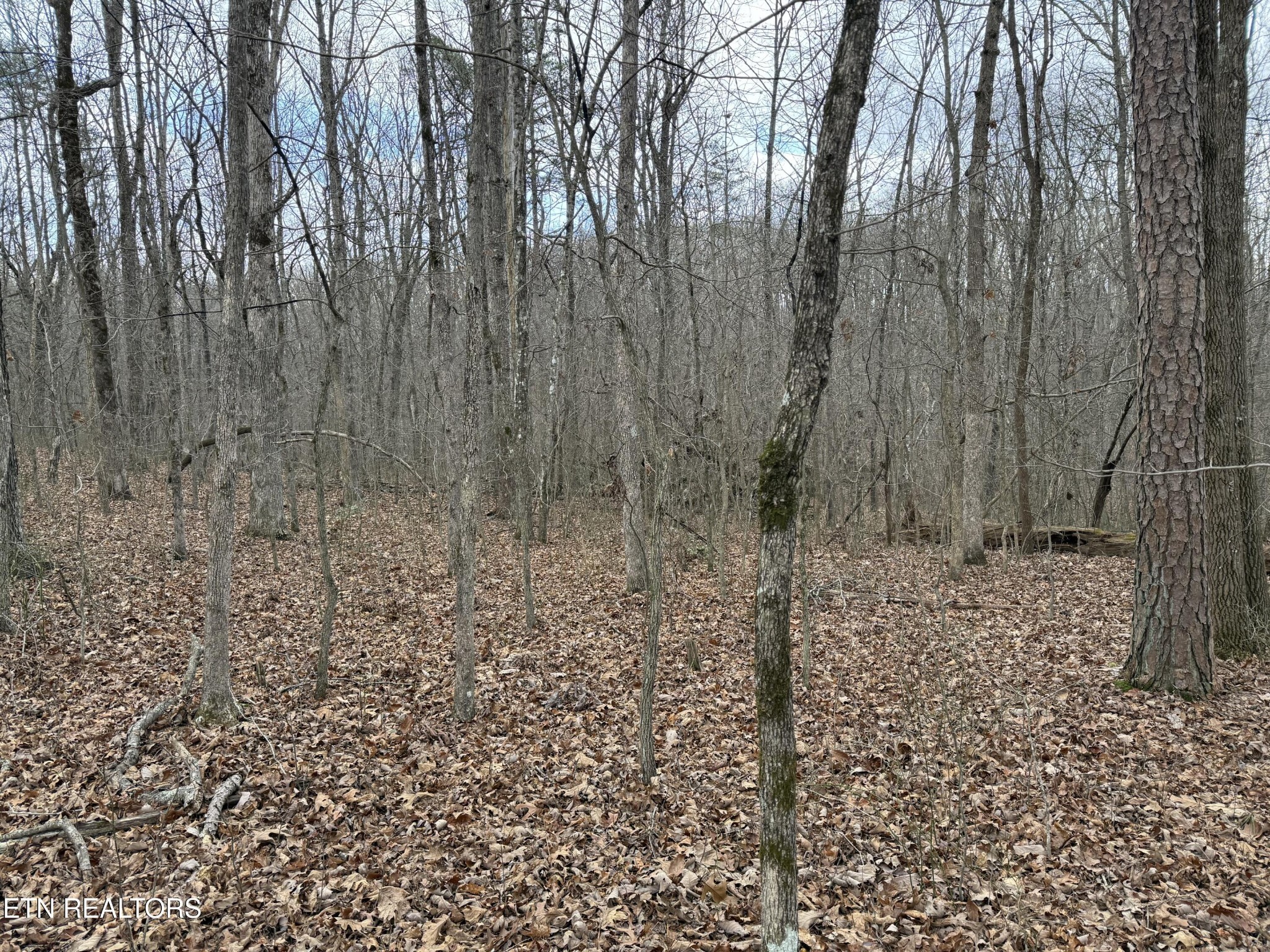 0 Crest Road Monterey TN 38574