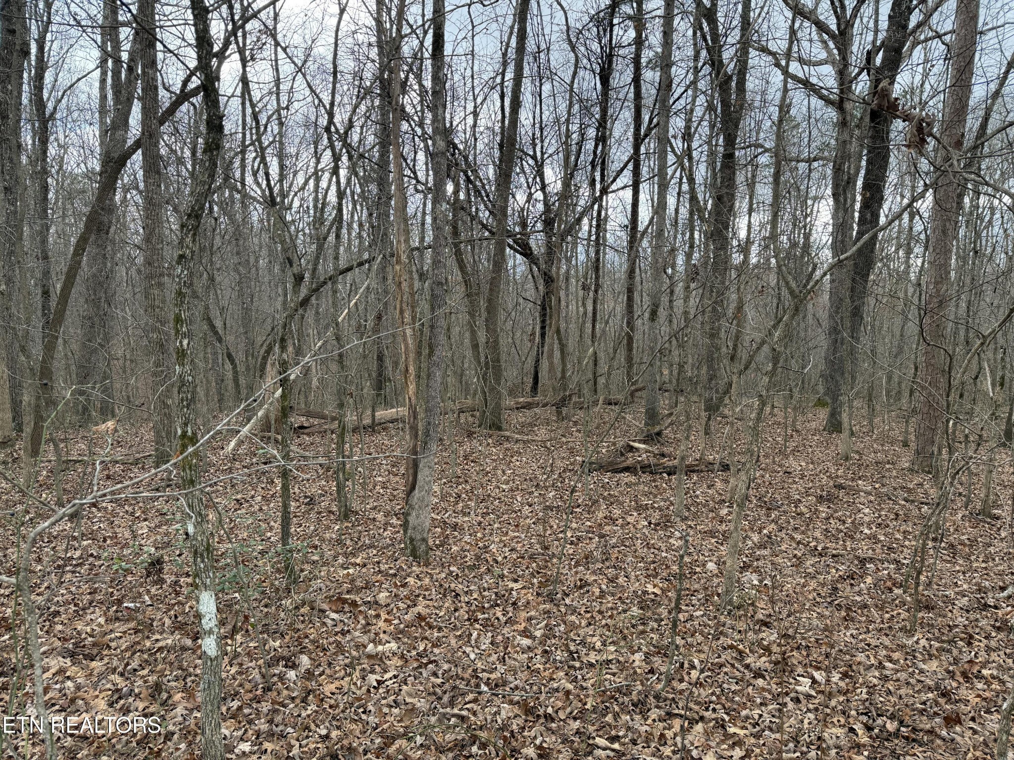 0 Crest Road Monterey TN 38574