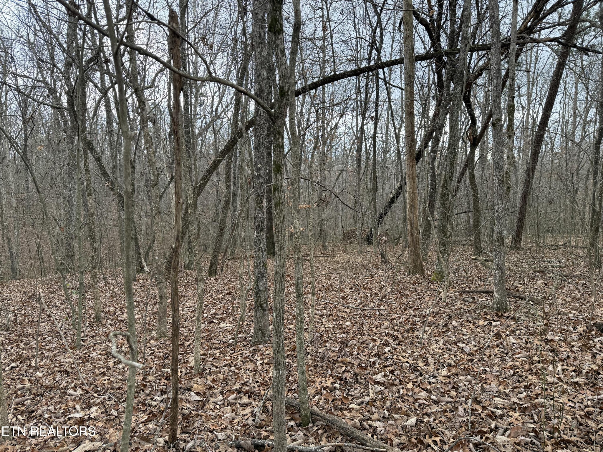 0 Crest Road Monterey TN 38574