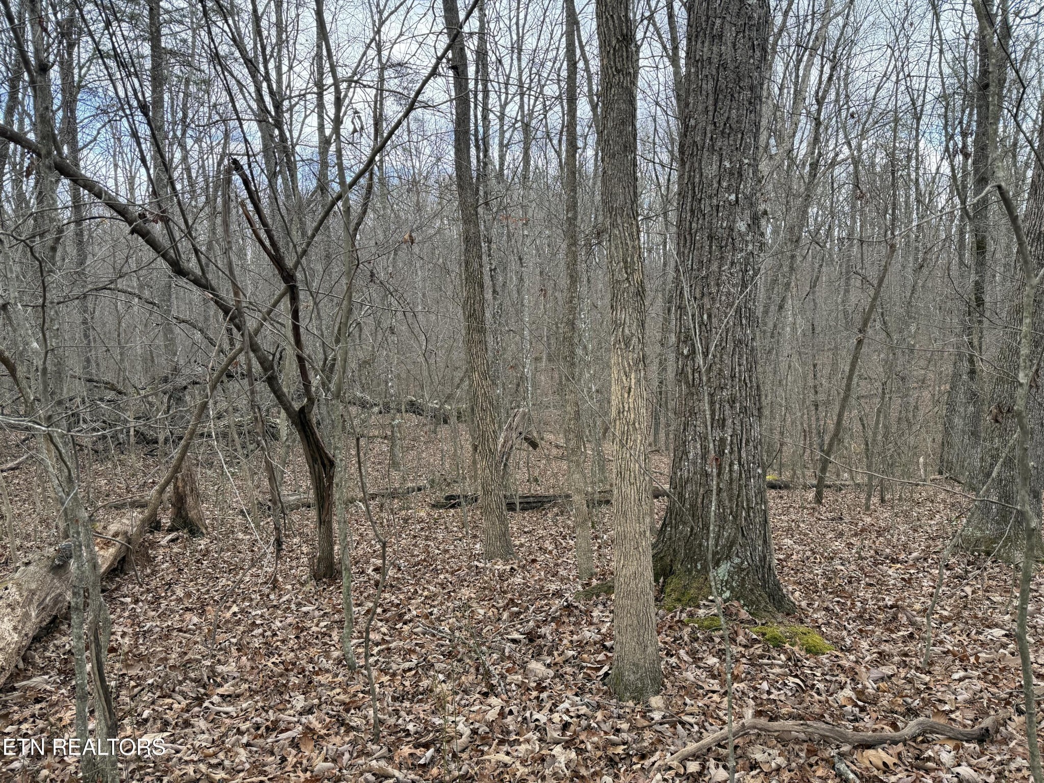 0 Crest Road Monterey TN 38574