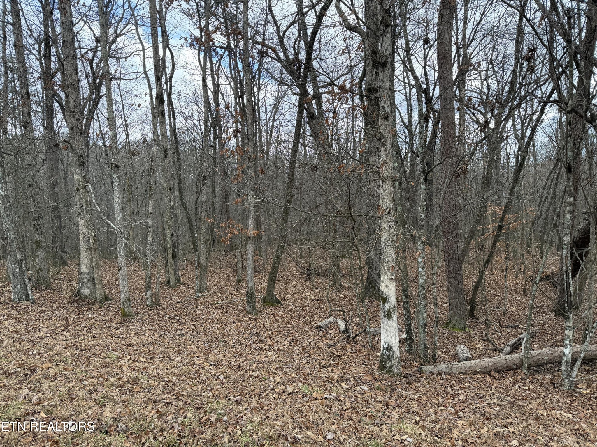 0 Crest Road Monterey TN 38574