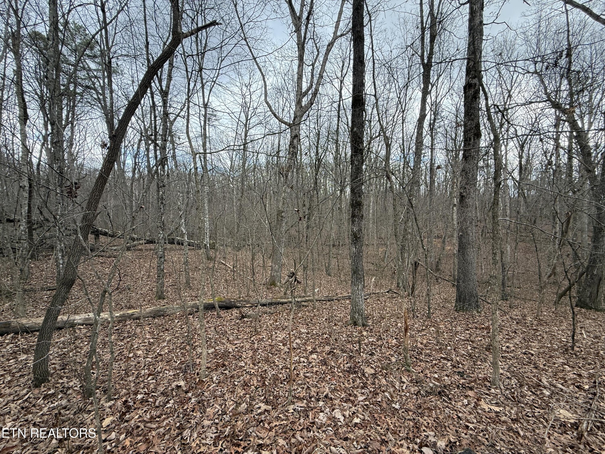 0 Crest Road Monterey TN 38574