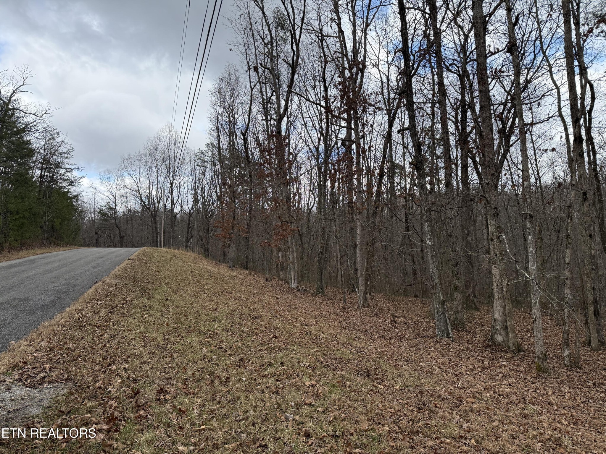 0 Crest Road Monterey TN 38574