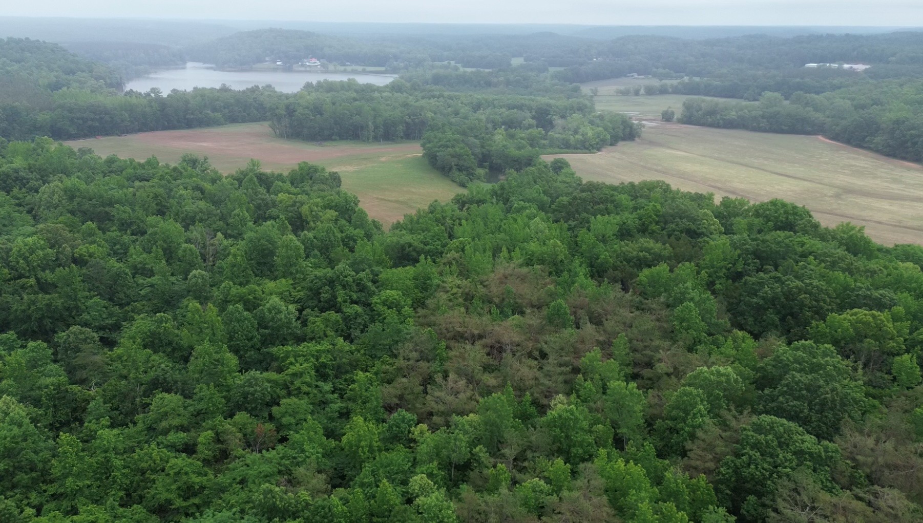 Decaturville TN, Lost Creek Farm Road