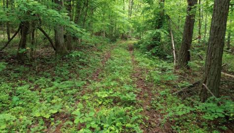 0 Lost Creek Farm Drive Decaturville TN 38329