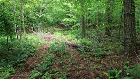 0 Lost Creek Farm Drive Decaturville TN 38329