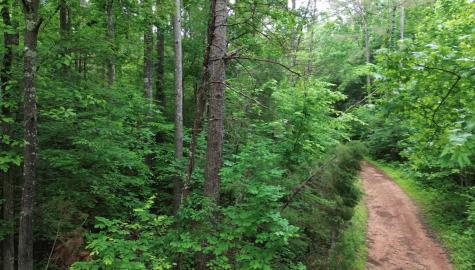 0 Lost Creek Farm Drive Decaturville TN 38329