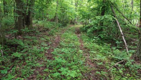 0 Lost Creek Farm Drive Decaturville TN 38329