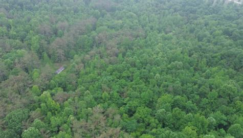 0 Lost Creek Farm Drive Decaturville TN 38329