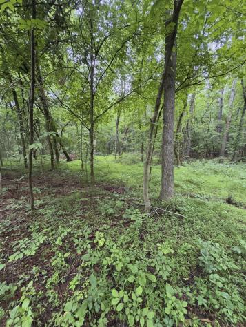 0 Lost Creek Farm Drive Decaturville TN 38329