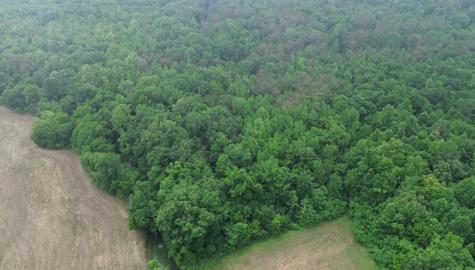 0 Lost Creek Farm Drive Decaturville TN 38329