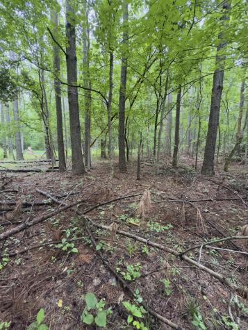 0 Lost Creek Farm Drive Decaturville TN 38329