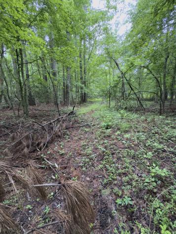 0 Lost Creek Farm Drive Decaturville TN 38329