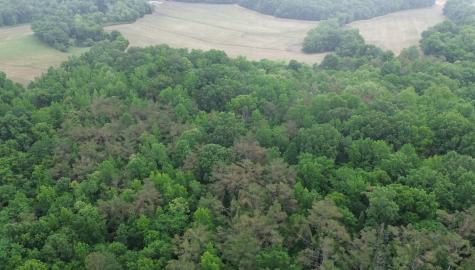0 Lost Creek Farm Drive Decaturville TN 38329