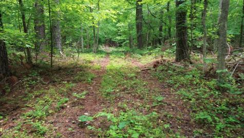 0 Lost Creek Farm Drive Decaturville TN 38329