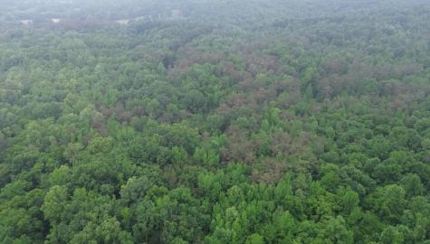0 Lost Creek Farm Drive Decaturville TN 38329