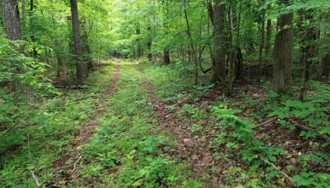 0 Lost Creek Farm Drive Decaturville TN 38329