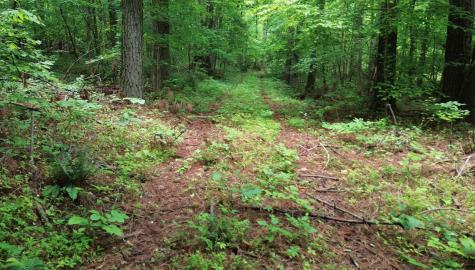 0 Lost Creek Farm Drive Decaturville TN 38329