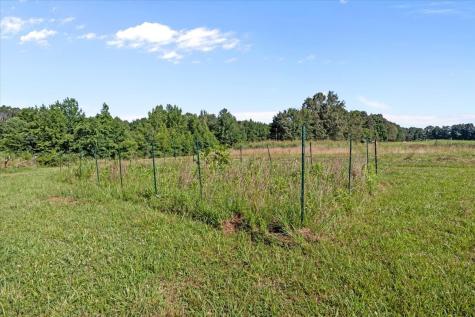 1030 Upper Creek Road Vanleer TN 37181