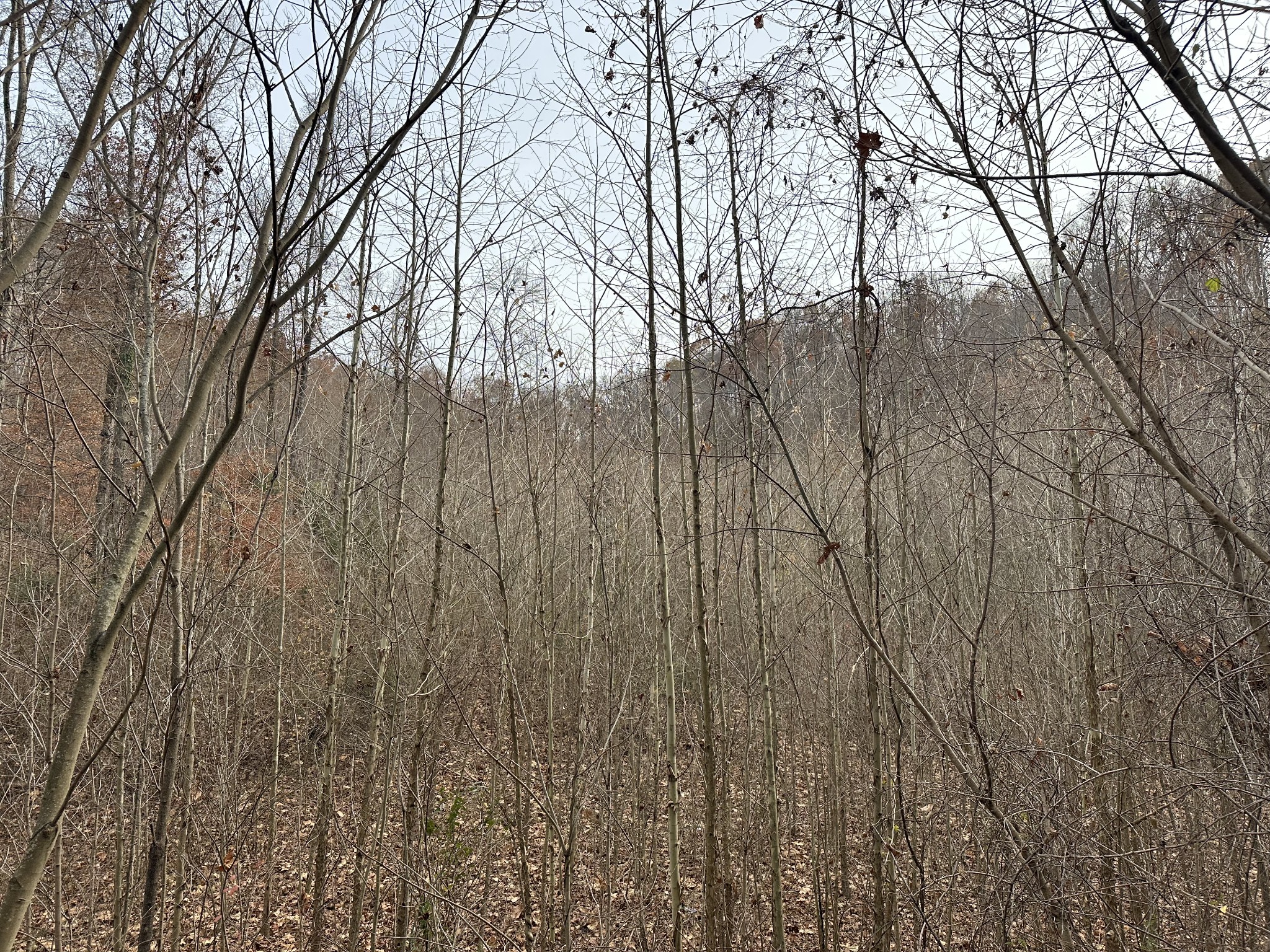 216 Happy Hollow Road Goodlettsville TN 37072