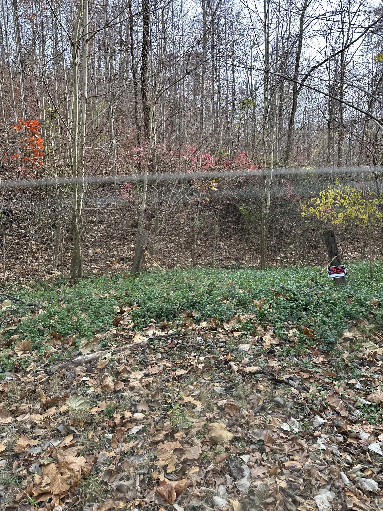 216 Happy Hollow Road Goodlettsville TN 37072