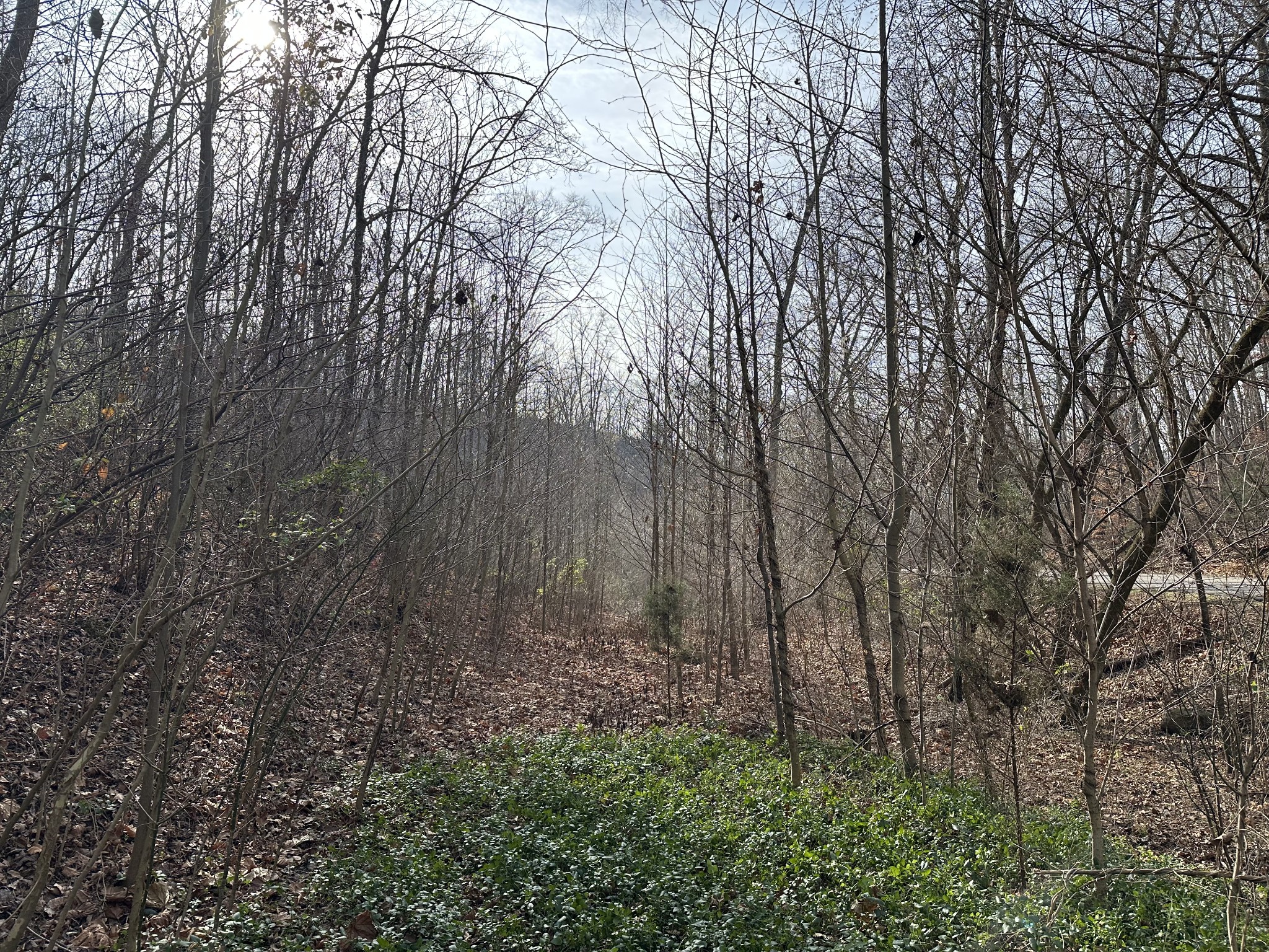 216 Happy Hollow Road Goodlettsville TN 37072