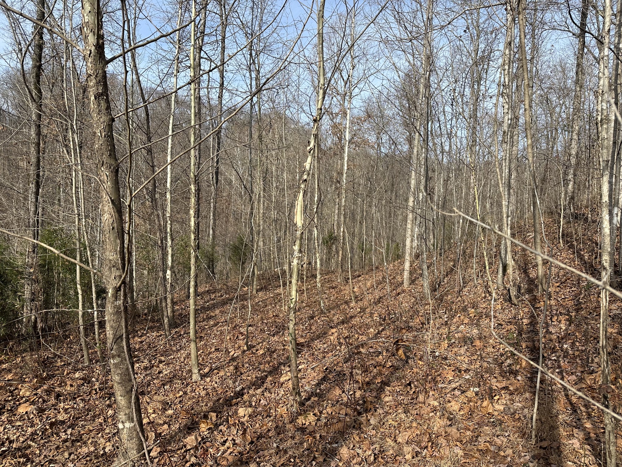 216 Happy Hollow Road Goodlettsville TN 37072