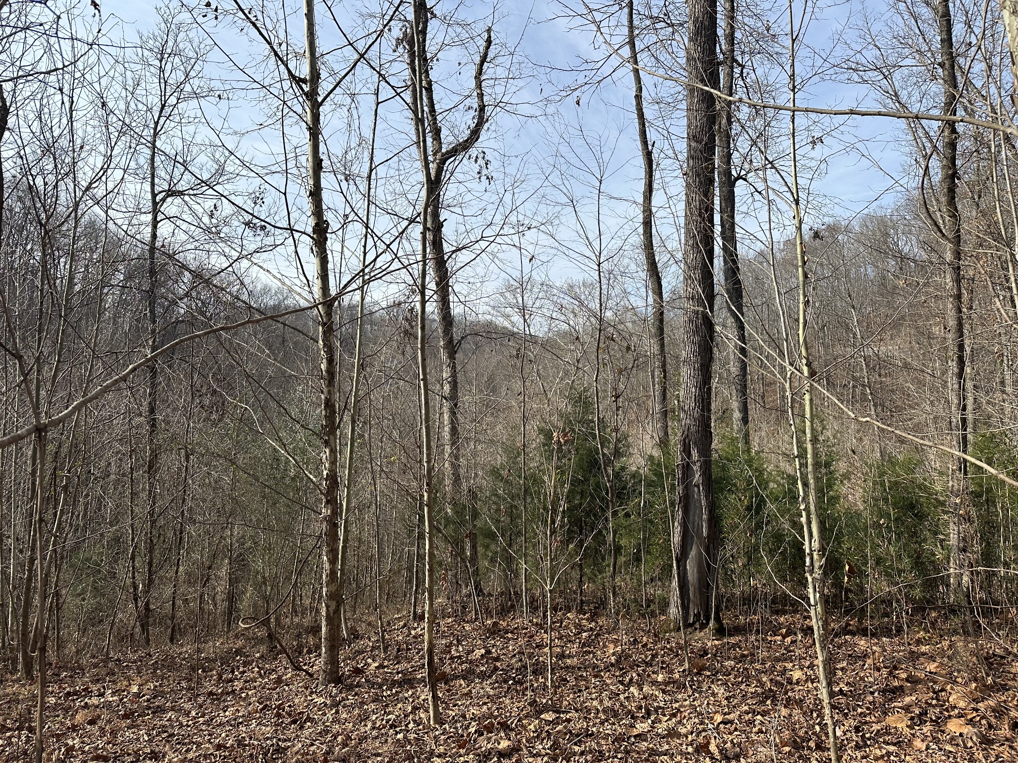 216 Happy Hollow Road Goodlettsville TN 37072