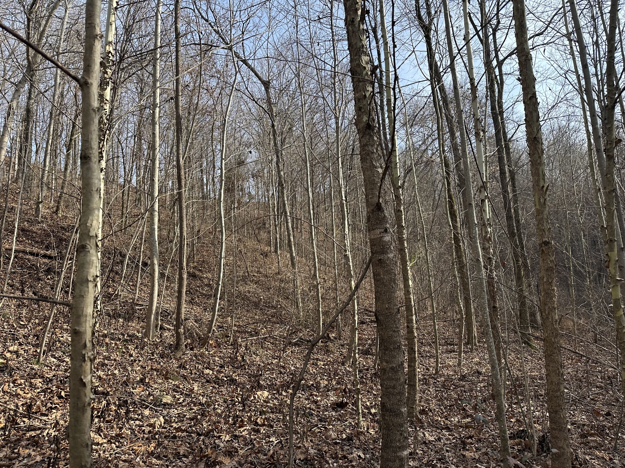216 Happy Hollow Road Goodlettsville TN 37072