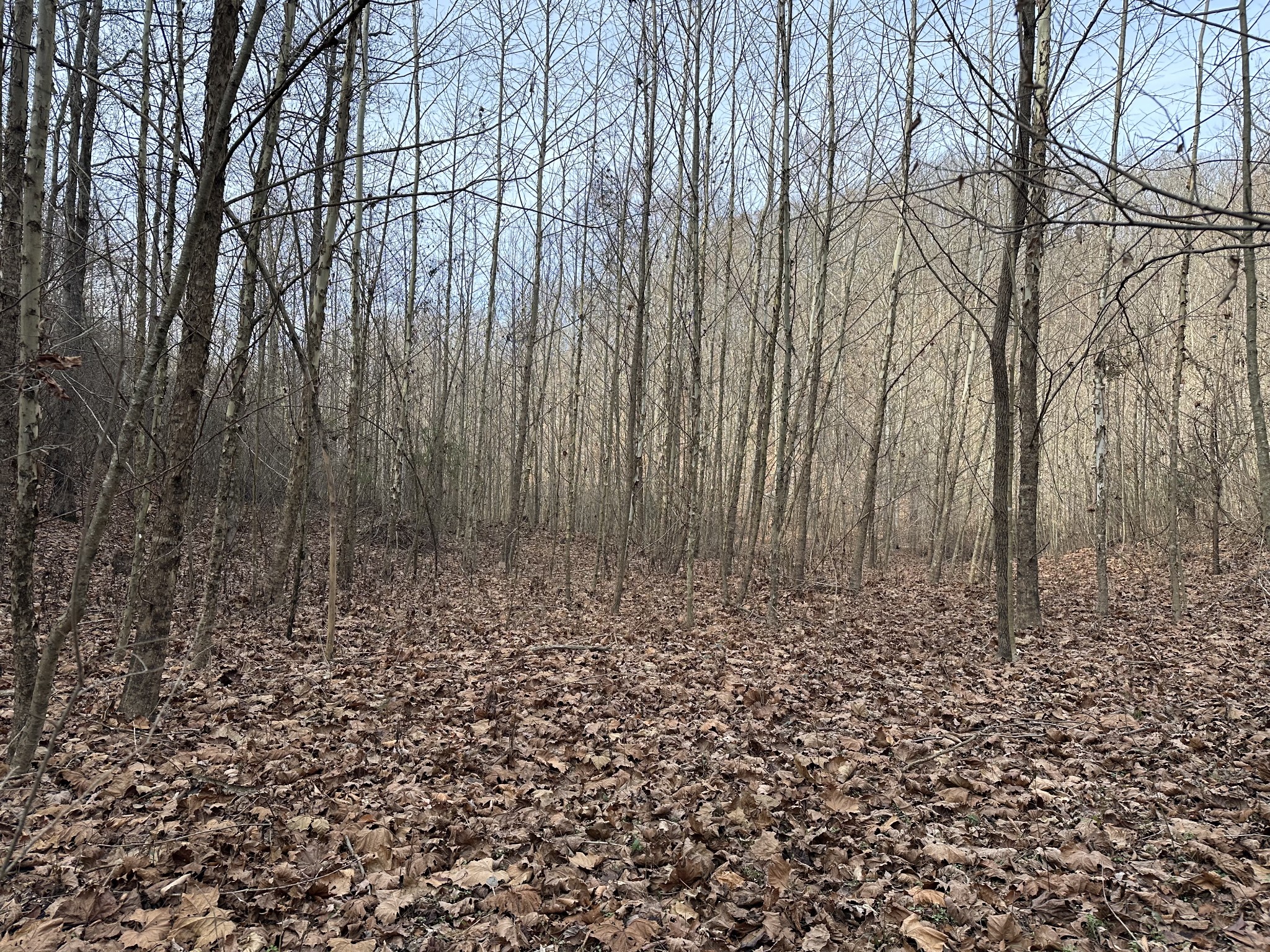 216 Happy Hollow Road Goodlettsville TN 37072