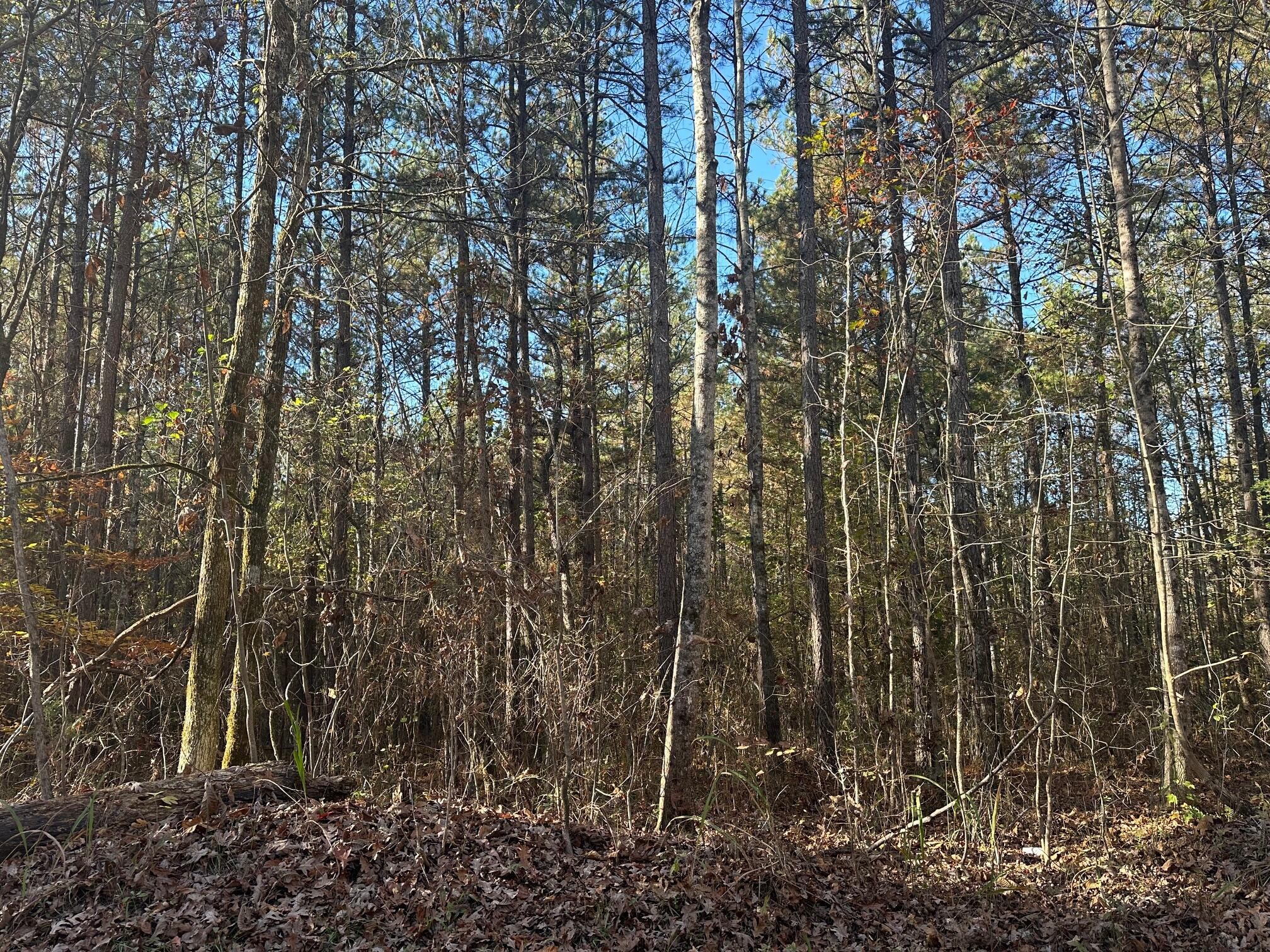 0 Redman Lane Decatur TN 37322