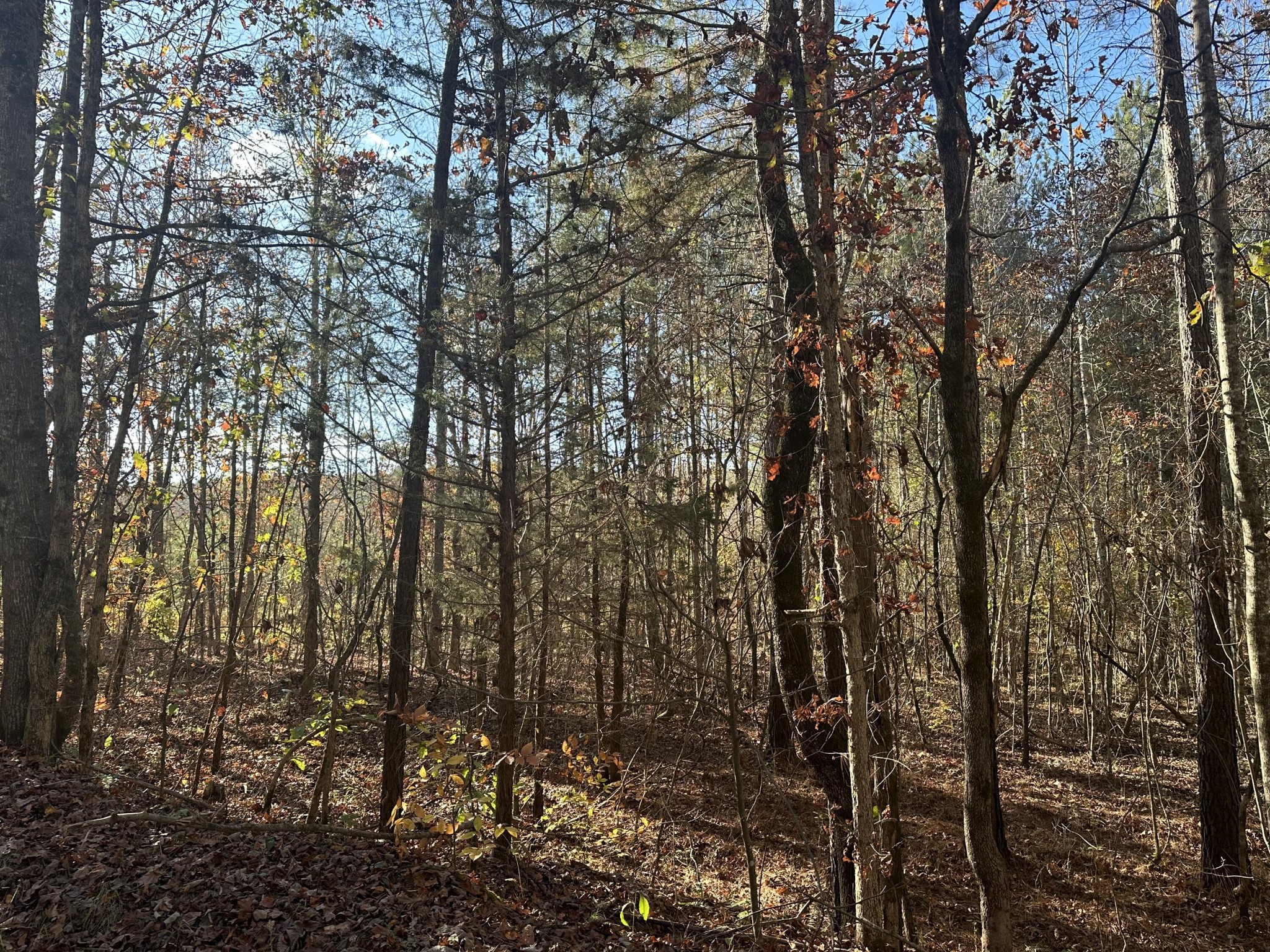 0 Redman Lane Decatur TN 37322