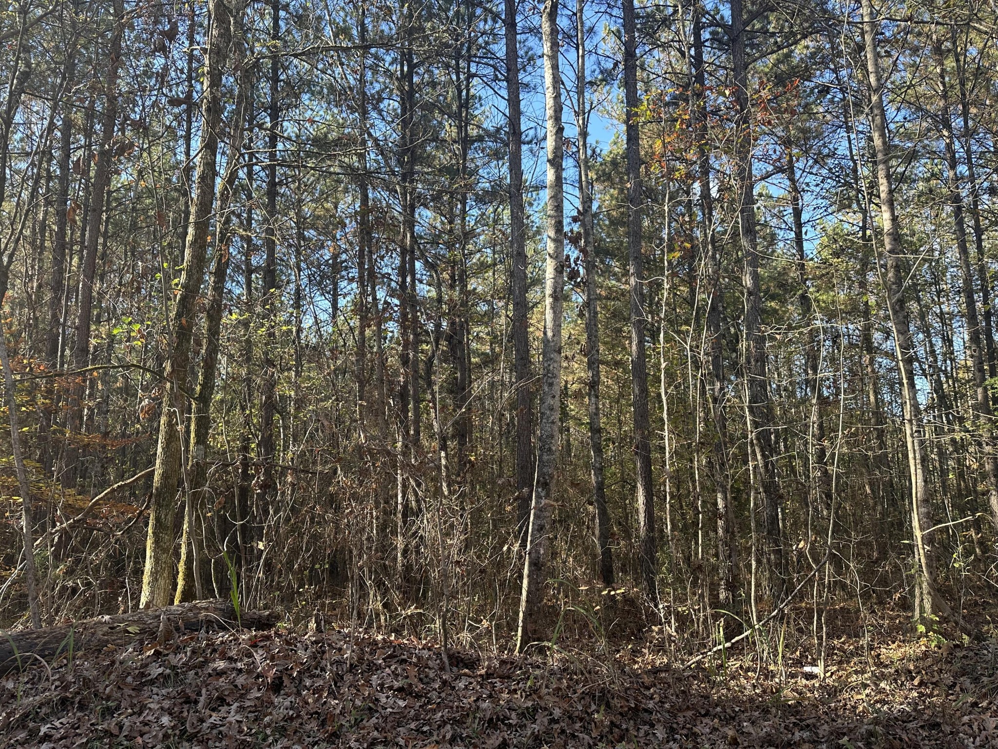 0 Redman Lane Decatur TN 37322