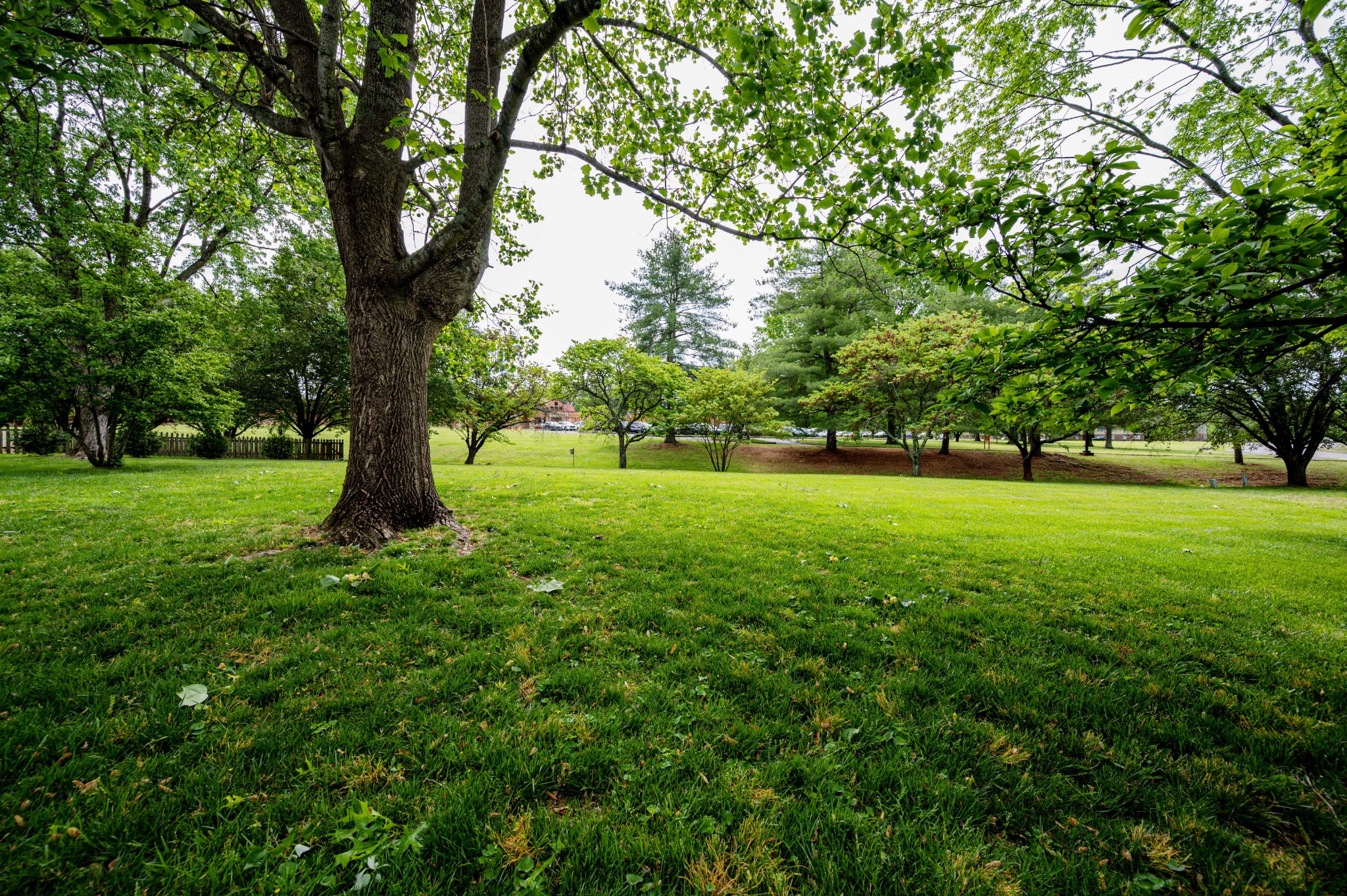 415 Clubridge Court Murfreesboro TN 37129