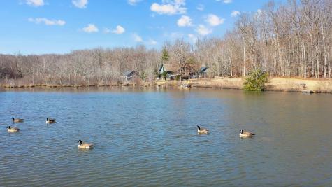 1044 Winterberry Drive Monteagle TN 37356