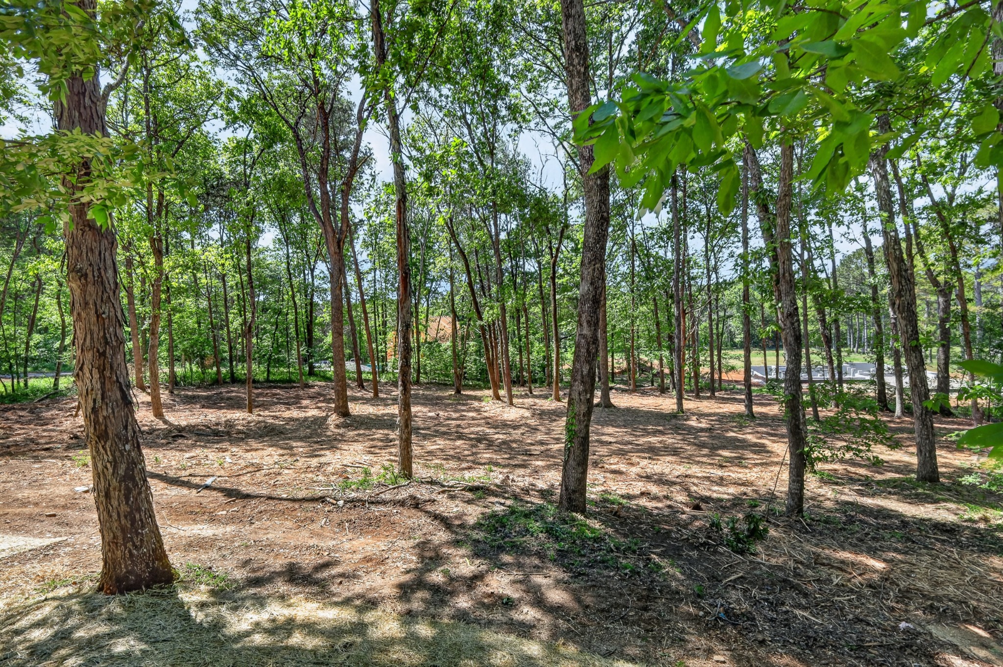 2291 Cooks Road Mount Juliet TN 37122