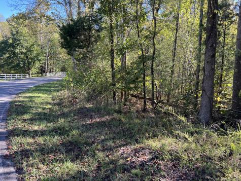 0 Tobaccoport Road Bumpus Mills TN 37028