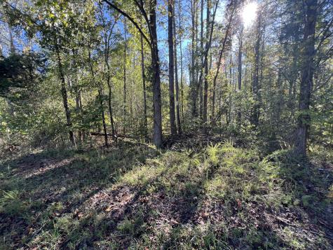 0 Tobaccoport Road Bumpus Mills TN 37028
