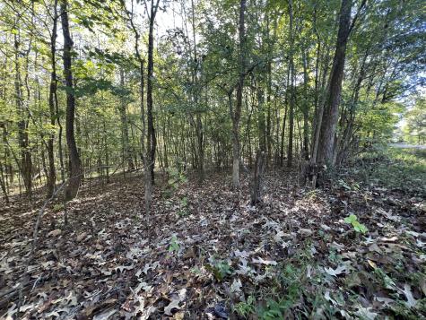0 Tobaccoport Road Bumpus Mills TN 37028