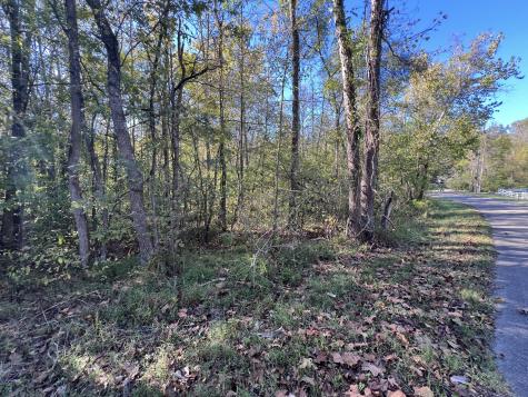 0 Tobaccoport Road Bumpus Mills TN 37028