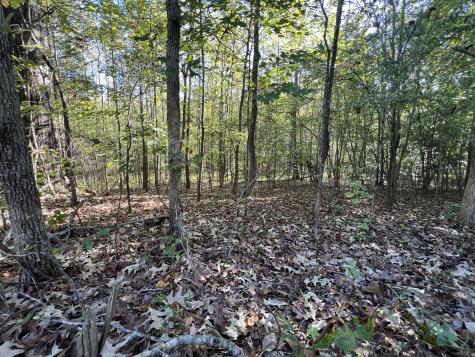 0 Tobaccoport Road Bumpus Mills TN 37028