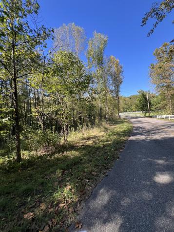 0 Tobaccoport Road Bumpus Mills TN 37028