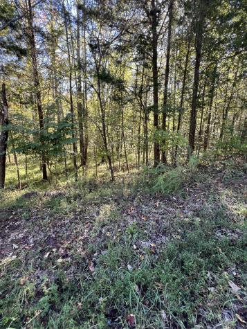 0 Tobaccoport Road Bumpus Mills TN 37028