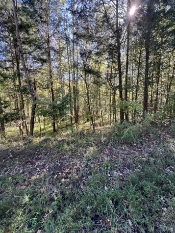 0 Tobaccoport Road Bumpus Mills TN 37028