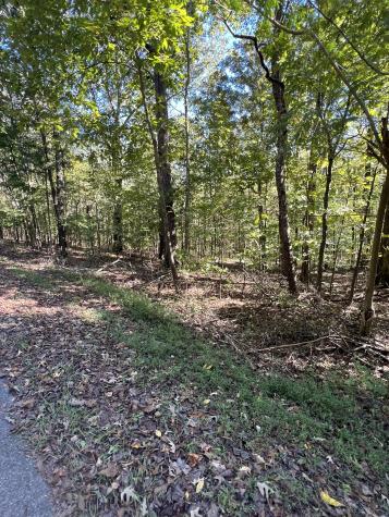 0 Tobaccoport Road Bumpus Mills TN 37028